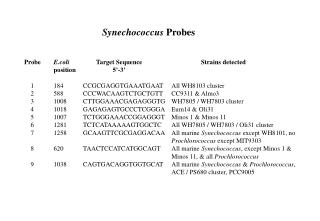 Probe 	 E.coli 	 Target Sequence		Strains detected 	position		5’-3’