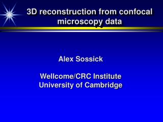 3D reconstruction from confocal microscopy data