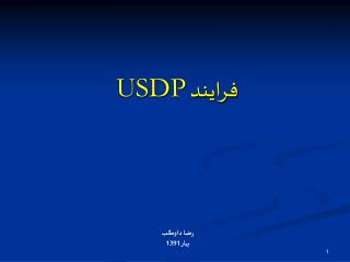 فرايند USDP