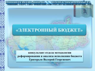 консультант отдела методологии реформирования и анализа исполнения бюджета