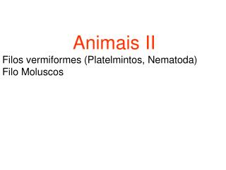 Animais II Filos vermiformes (Platelmintos, Nematoda) Filo Moluscos