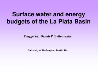 Surface water and energy budgets of the La Plata Basin