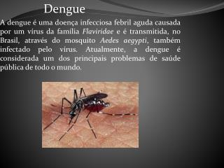 Dengue