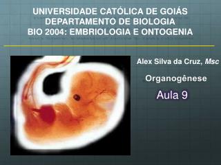 UNIVERSIDADE CATÓLICA DE GOIÁS DEPARTAMENTO DE BIOLOGIA BIO 2004: EMBRIOLOGIA E ONTOGENIA