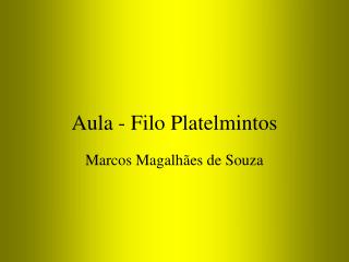 Aula - Filo Platelmintos