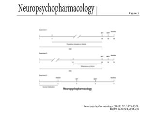 Neuropsychopharmacology (2012) 37, 1305-1320; doi:10.1038/npp.2011.319