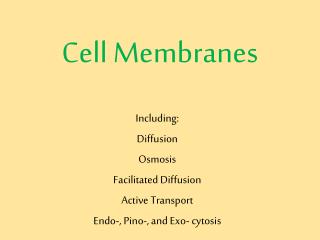 Cell Membranes