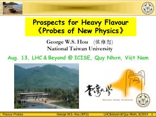 Prospects for Heavy Flavour 《 Probes of N ew Physics 》