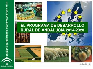 EL PROGRAMA DE DESARROLLO RURAL DE ANDALUCÍA 2014-2020