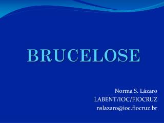 BRUCELOSE