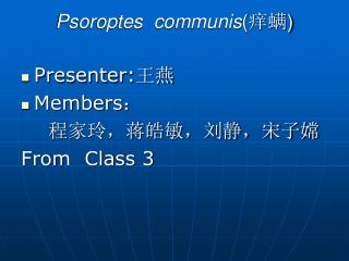 Psoroptes communis ( 痒螨 )