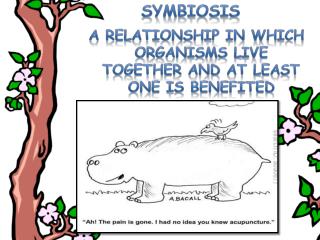 organisms symbiosis benefited relationship least together which live