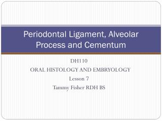 Periodontal Ligament, Alveolar Process and Cementum