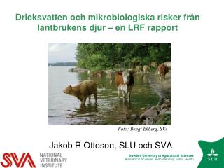 Dricksvatten och mikrobiologiska risker från lantbrukens djur – en LRF rapport