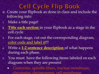 Cell Cycle Flip Book