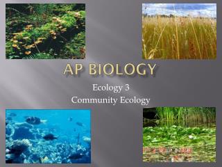 AP Biology