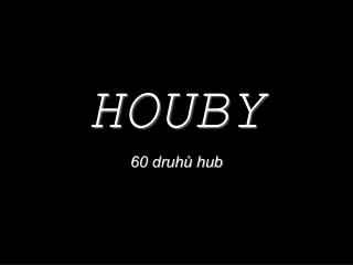 HOUBY