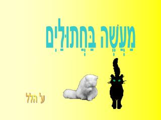 מַעֲשֶה בַּחֲתוּלַיִם