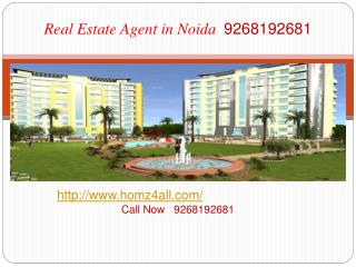 Real Estate Agent in Noida