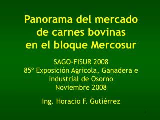 Panorama del mercado de carnes bovinas en el bloque Mercosur SAGO-FISUR 2008 85º Exposición Agrícola, Ganadera e Industr