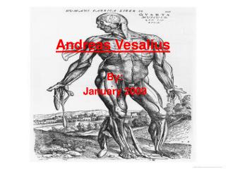 Andreas Vesalius