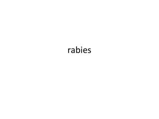 rabies