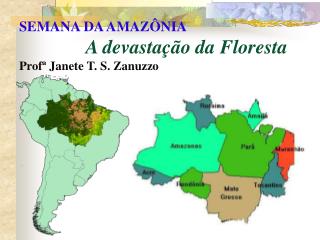 SEMANA DA AMAZÔNIA A devastação da Floresta Profª Janete T. S. Zanuzzo