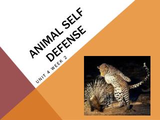 Animal Self Defense