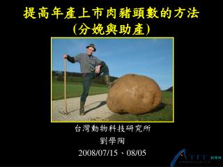 提高年產上市肉豬頭數的方法 ( 分娩與助產 )