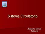 Sistema Circulatorio