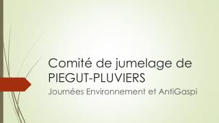 Comité de jumelage de PIEGUT-PLUVIERS