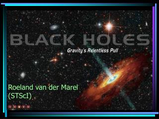 Roeland van der Marel (STScI)