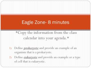 Eagle Zone- 8 minutes