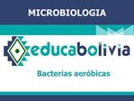 Bacterias aer bicas