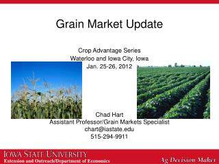 Grain Market Update