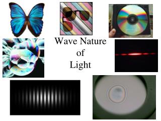 Wave Nature of Light