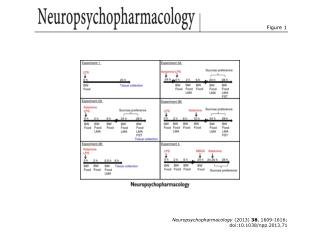 Neuropsychopharmacology (2013) 38 , 1609-1616; doi:10.1038/npp.2013.71