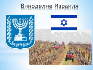 Виноделие Израиля