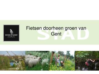 Fietsen doorheen groen van Gent