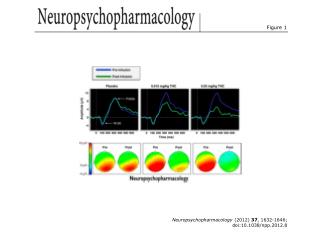 Neuropsychopharmacology (2012) 37 , 1632-1646; doi:10.1038/npp.2012.8