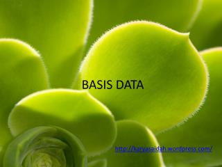 BASIS DATA