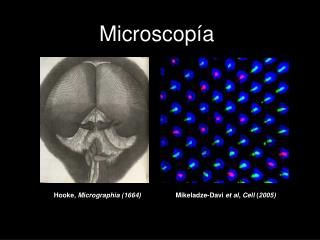 Hooke, Micrographia (1664) Mikeladze-Davi et al , Cell ( 2005)
