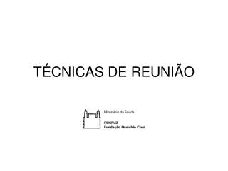 TÉCNICAS DE REUNIÃO