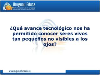 ¿Qué avance tecnológico nos ha permitido conocer seres vivos tan pequeños no visibles a los ojos?