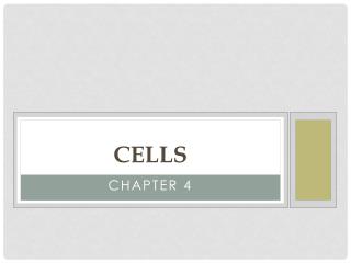 Cells