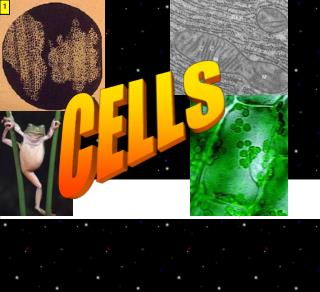 Cell Theory