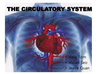 THE CIRCULATORY SYSTEM