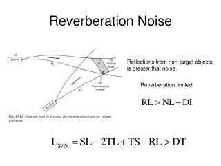 Reverberation Noise
