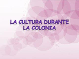 La cultura durante la colonia