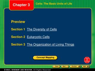 Cells: The Basic Units of Life